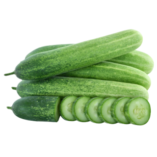 Kajal Cucumber From Known You Seed (India)-KYI